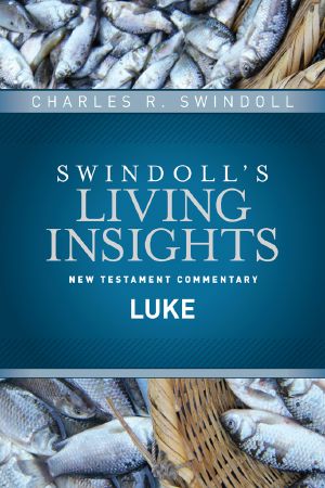 [Insights 01] • Insights on Luke
